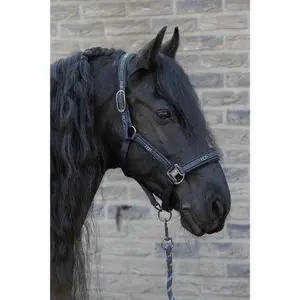 Halter and lead rope set for horse Harry's Horse EQS image-1