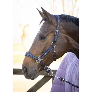 Halter and lead rope set for horse Harry's Horse EQS image-1