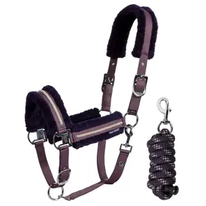 Set aus Halfter und Longiergurt für Pferde Harry's Horse Soft