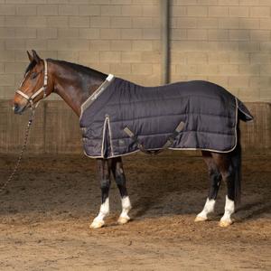 Stable Blanket Harry's Horse Highliner 200 WI25 200g