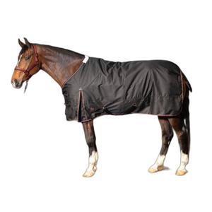 Waterproof  Blanket Harry's Horse Thor 200g