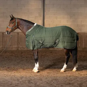 Manta de cuadra Harry's Horse Highliner 300 WI25 300g image-1