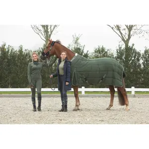 Manta de cuadra Harry's Horse Highliner 300 WI25 300g image-2