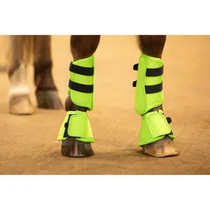 Καμπάνες για άλογα Harry's Horse Stout! image-2
