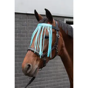 Γυναικεία πόλο αγώνων Harry's Horse Satin image-0