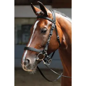 Snaffle bridles Harry's Horse image-1