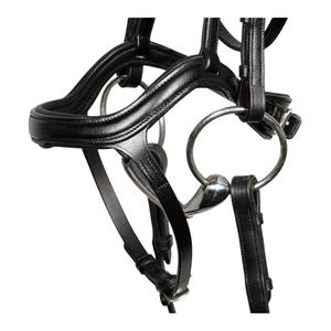Bridles for horses Harry's Horse Anatomic image-2