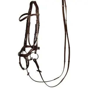 Bridles for horses Harry's Horse Anatomic