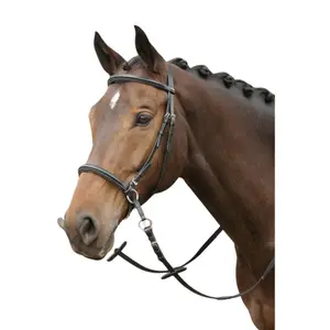 28000025-trans-for-ridning-harry-s-horse-bitless-svart