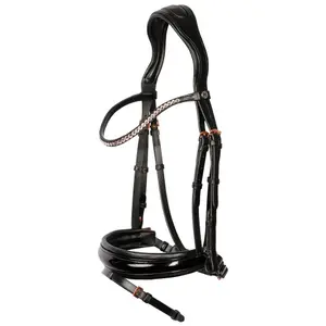 Riding Bridle + Noseband Harry's Horse Lacque II
