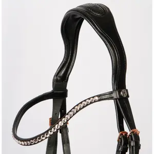 Riding Bridle + Noseband Harry's Horse Lacque II image-1