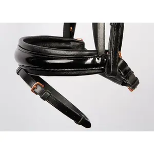 Riding Bridle + Noseband Harry's Horse Lacque II image-2