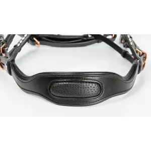 Riding Bridle + Noseband Harry's Horse Lacque II image-4