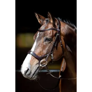 Σέλες ιππασίας για άλογα Harry's Horse Release image-1