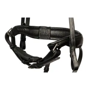 Sněžnice Harry's Horse MM Foramen Free