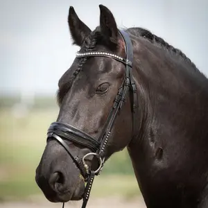 Ανατομικό χαλινάρι ιππασίας Harry's Horse Diamond Lacque image-2