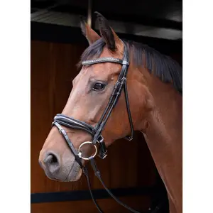 Σχοινί ιππασίας Harry's Horse Rondgenaaid Lacque image-1