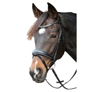 Χωρίς αλυσίδα χαλινάρι για άλογο Crystal Harry's Horse image-1