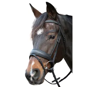 Bitless bridle for horses Harry's Horse Soft Bombastic image-1