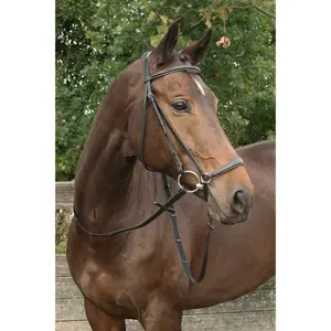 Καναλοί με χαμηλή ρινόκερο Harry's Horse Bronze image-1