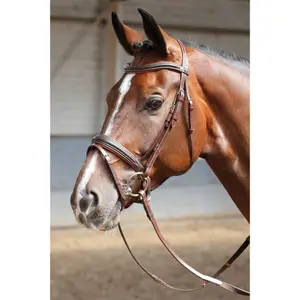 Μαλακοί καβγάδες Harry's Horse image-1