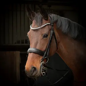 Σέσουλα ιππασίας με συνδυασμένη μασέλα Harry's Horse Cavecon image-0