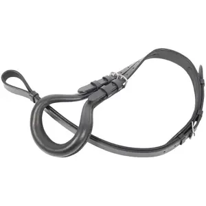 Paardenkruier Harry's Horse