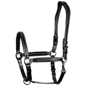 Leather halter for horses Harry's Horse Supreme