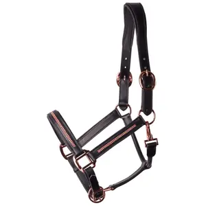 Leather halter for horses Harry's Horse Metallic