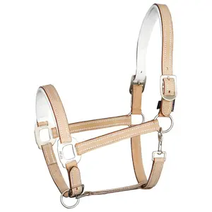 Leather halter for horses Harry's Horse Cremello