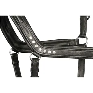 Anatomisches Halfter aus Leder Harry's Horse Crystal image-1