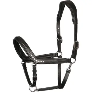 Anatomisches Halfter aus Leder Harry's Horse Crystal image-0