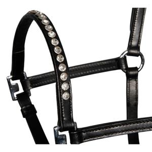 Fohlenhalfter aus Leder mit Kristall Harry's Horse image-1