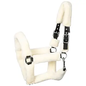 Καπίστρι για άλογο Harry's Horse Teddy image-0