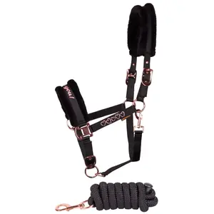Halter and lead rope set for horse Harry's Horse Love