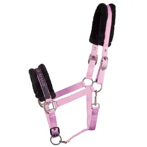 Cabresto para cavalos Harry's Horse Lyrics Quotes image-0