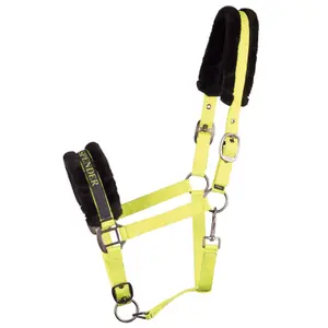 Cabresto para cavalos Harry's Horse Lyrics Quotes image-0