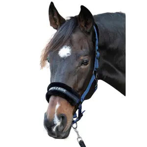 Cabresto para cavalos Harry's Horse Lyrics Quotes image-0