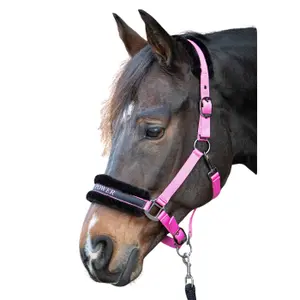 Cabresto para cavalos Harry's Horse Lyrics Quotes image-0