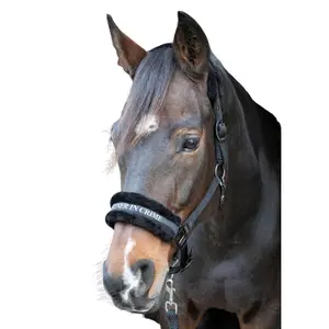 Cabresto para cavalos Harry's Horse Lyrics Quotes image-0