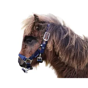 Halster voor veulen Harry's Horse image-3