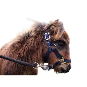 Halster voor veulen Harry's Horse image-1