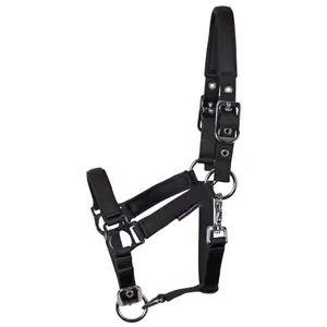 Halter for foal Harry's Horse image-0