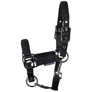 Halter for foal Harry's Horse image-1