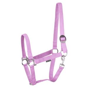 31000924-lila-halster-voor-paarden-harry-s-horse-economy-stlt-lila
