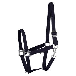 31000924-turquoise-halster-voor-paarden-harry-s-horse-economy-stlt-turquoise