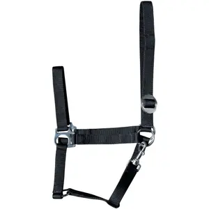 Halfter Harry's Horse Economy image-0