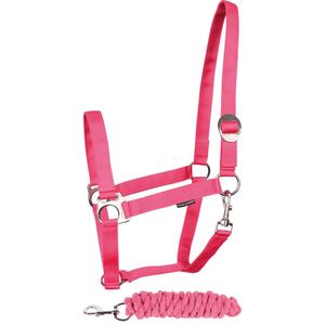31000926-fuchsia-set-aus-halfter-und-longiergurt-fur-pferde-harry-s-horse-initial-fuchsia