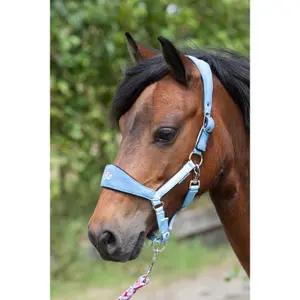 Halstørklæde og føringsreb til hest Harry's Horse Diva Stella image-1
