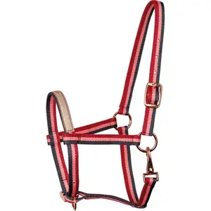 Halter for horse Harry's Horse Azores image-0